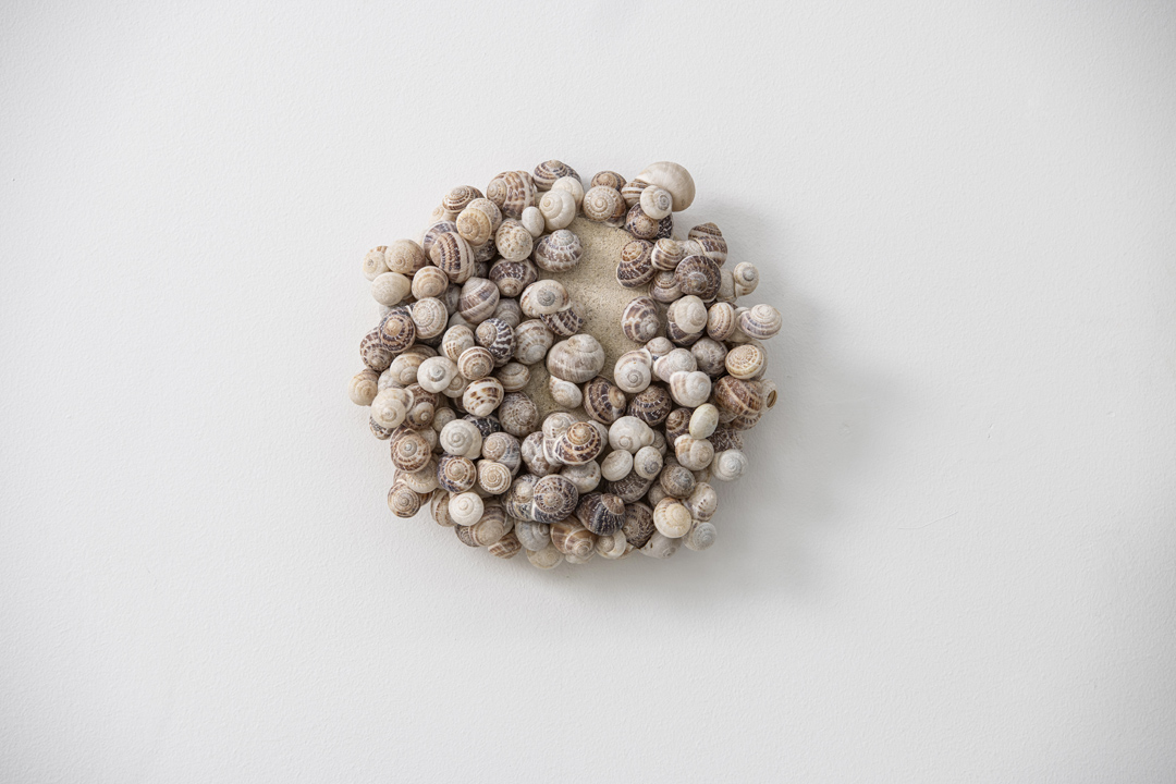 EROS–THEROS ΙΙ, 2024 | calcarenite stone Pachna formation / land snail shells / wire / variable