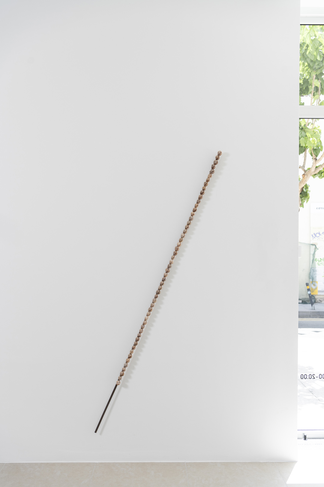 SHELLS, 2024 | calcarenite stone Pachna formation / land snail shells / 57 x 225 x 9.5