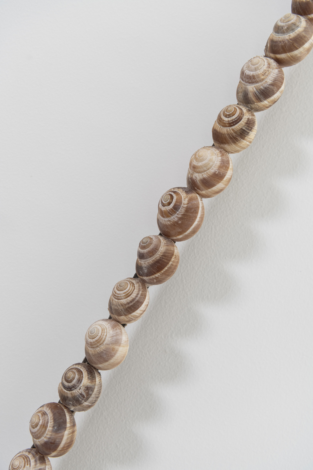 SHELLS, 2024 | calcarenite stone Pachna formation / land snail shells / 57 x 225 x 9.5