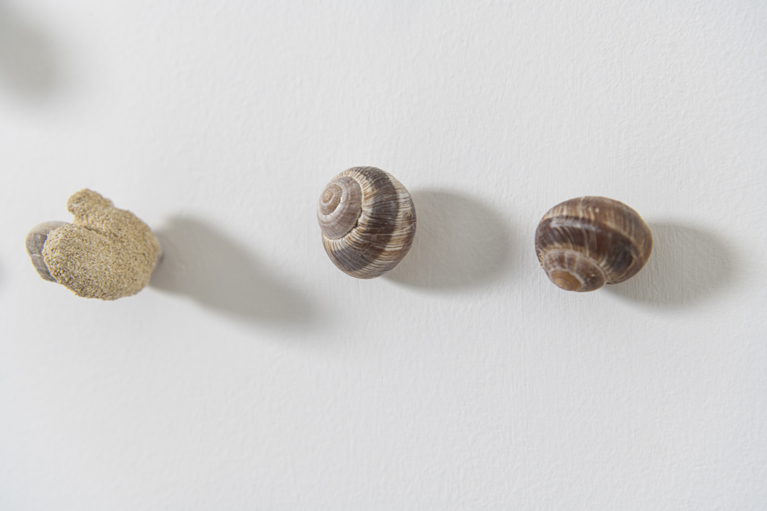 SHELLS, 2024 | calcarenite stone Pachna formation / land snail shells / 57 x 225 x 9.5 cm